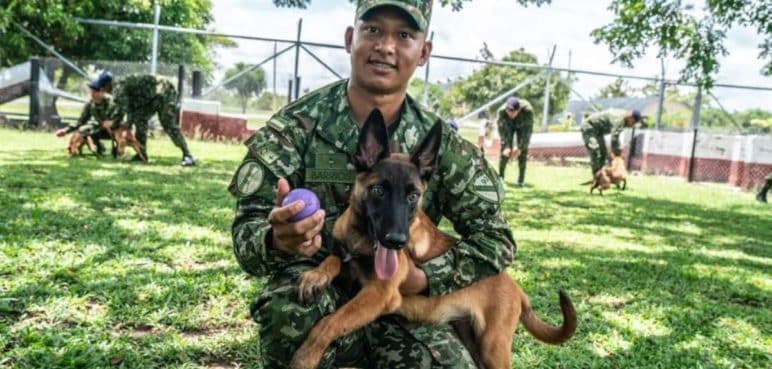Más de 15.000 jóvenes podrán hacer parte del Ejército Nacional