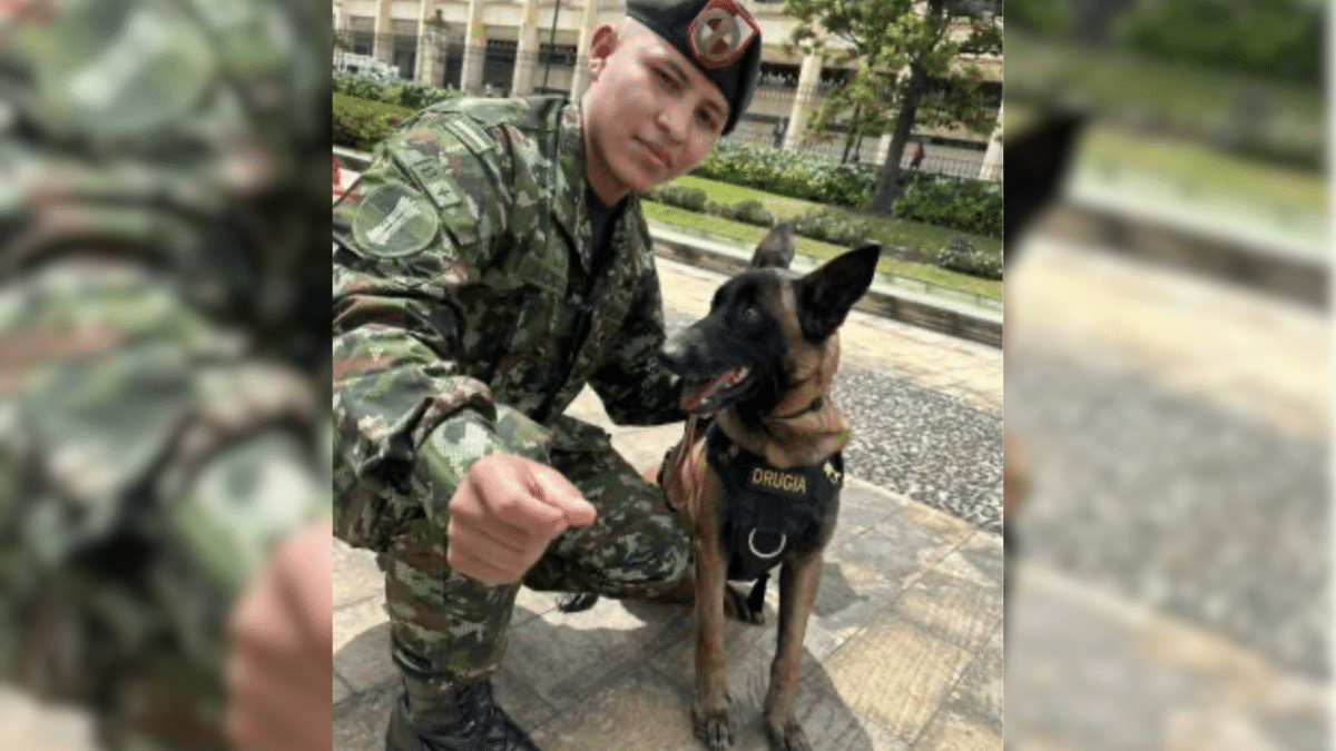 ¡Por siempre, héroe! Wilson no fue encontrado pese a intensa búsqueda