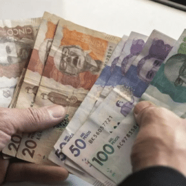 ¿Una nueva pirámide? Sociedades ganaderas captaron ilegalmente millonaria suma de dinero