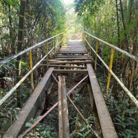 Denuncian mal estado en puente peatonal del parque de El Ingenio, sur de Cali