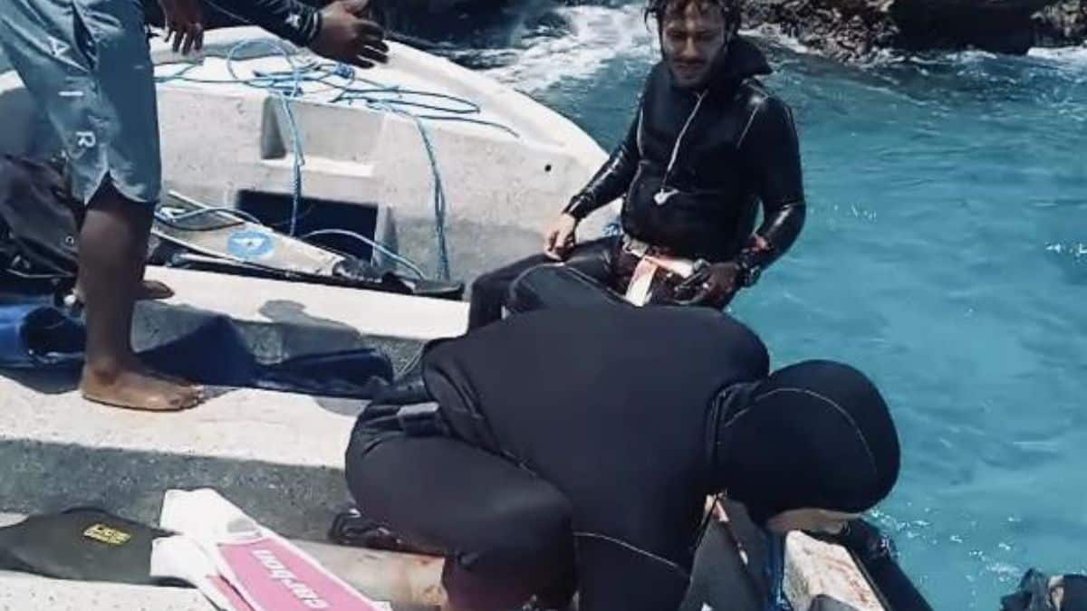 Rescatan a un náufrago australiano y su perrita luego de tres meses en altamar