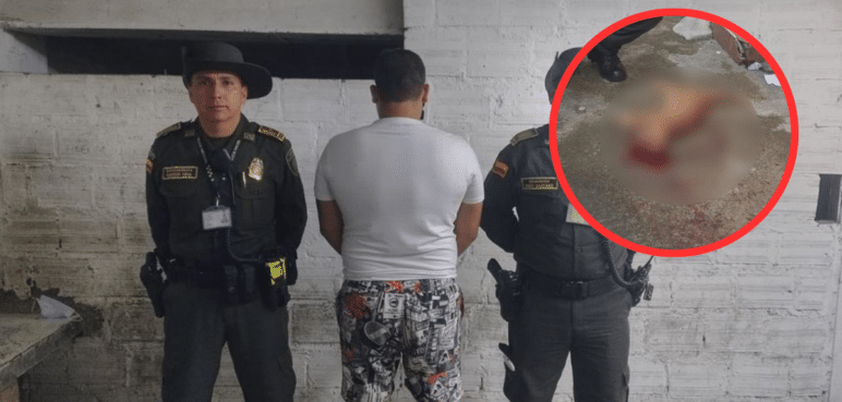 Por jugar sobre un techo, hombre le disparó a un gato en Popayán, Cauca