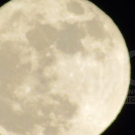Así será el calendario lunar de julio; habrá luna llena y otras fases para cortar el cabello