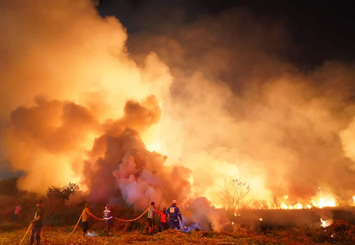 Video: Incendio en lote del sur de Cali fue controlado por los Bomberos