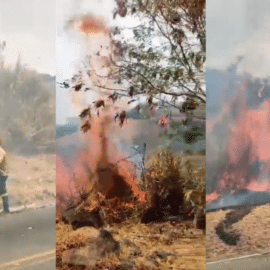 ¡Atención! Logran controlar incendio forestal en la Vía al Mar, oeste de Cali