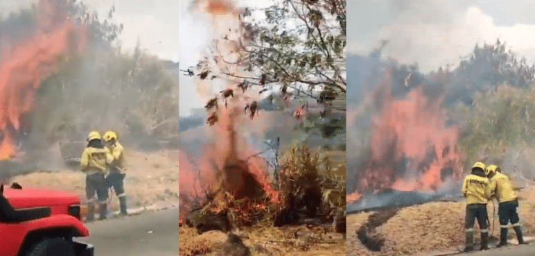 ¡Atención! Logran controlar incendio forestal en la Vía al Mar, oeste de Cali