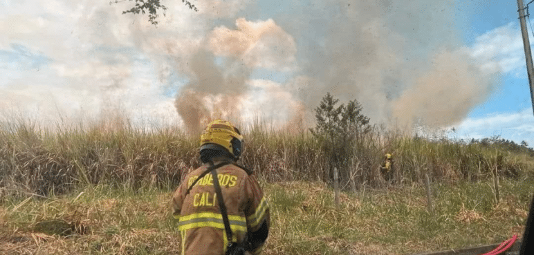 Video: Incendio en lote del sur de Cali fue controlado por los Bomberos