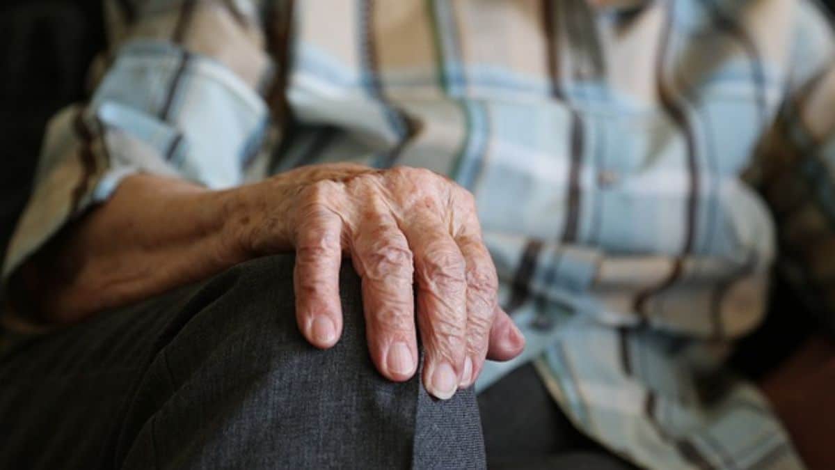 'Barriga llena, corazón contento': 50 abuelitos recibieron una agradable visita