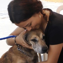 ¡Caleños dijeron sí! Perros y gatos tendrán la oportunidad de tener una familia