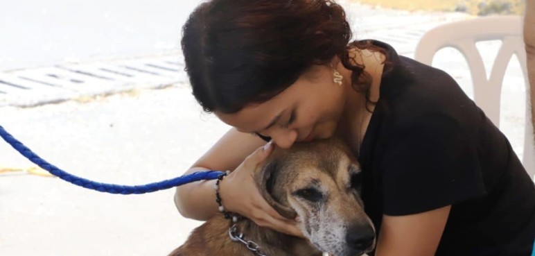 ¡Caleños dijeron sí! Perros y gatos tendrán la oportunidad de tener una familia