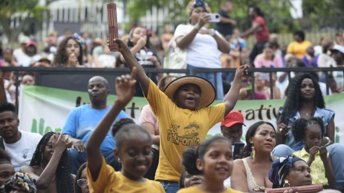 La historia de los violines negros