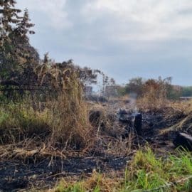 ¿Incendios provocados? Comunidad de  Ciudad Meléndez denuncia quema de lotes