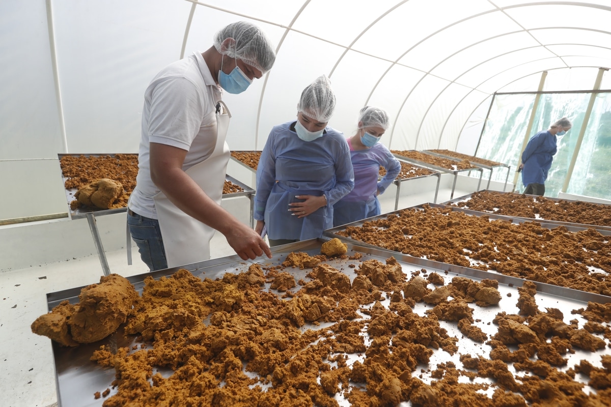 maracuya-por-coca-la-nueva-apuesta-de-cultivadores-del-amazonas-03-08-2023