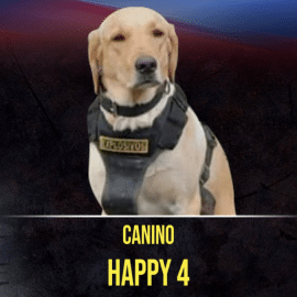 Adiós héroe: Perrito murió luego de detectar un artefacto explosivo