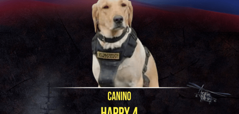 Adiós héroe: Perrito murió luego de detectar un artefacto explosivo