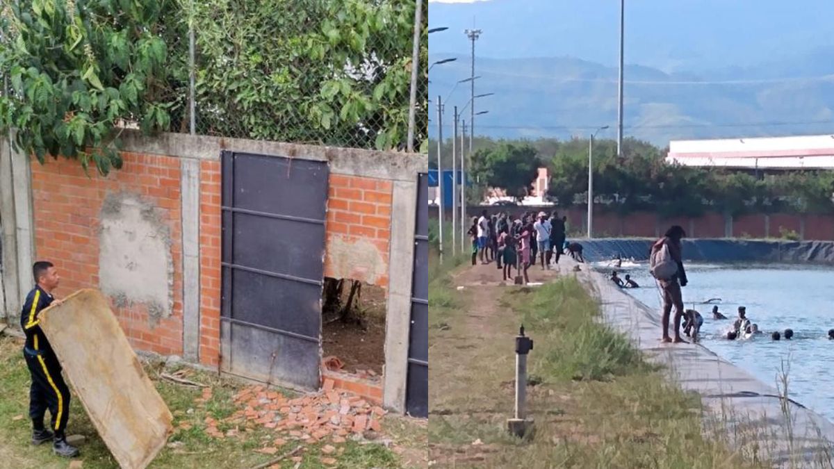 Autoridades vs. Usuarios: Este es el panorama de seguridad en el MÍO