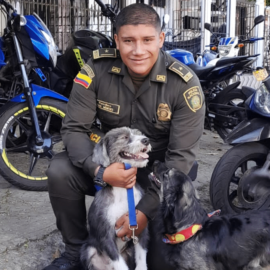 ¡Todo un héroe! Patrullero se lanzó a un caño para salvar la vida de un perrito