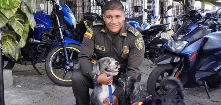 ¡Todo un héroe! Patrullero se lanzó a un caño para salvar la vida de un perrito