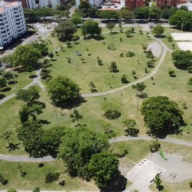 #CaliSomosCOP16: Así avanza la campaña para ser sede de la cumbre de biodiversidad 2024