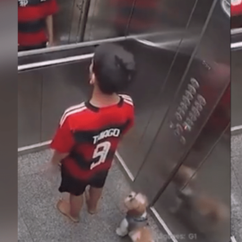 Video: Niño salva perrita que quedó atrapada por la puerta de un ascensor