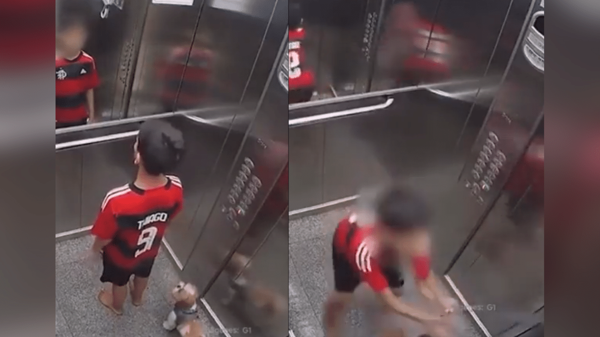 Video: Niño salva perrita que quedó atrapada por la puerta de un ascensor