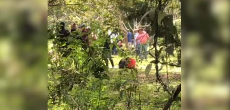 "Campesinos" invadieron predios de Fundación Paz Animal: Fueron desalojados