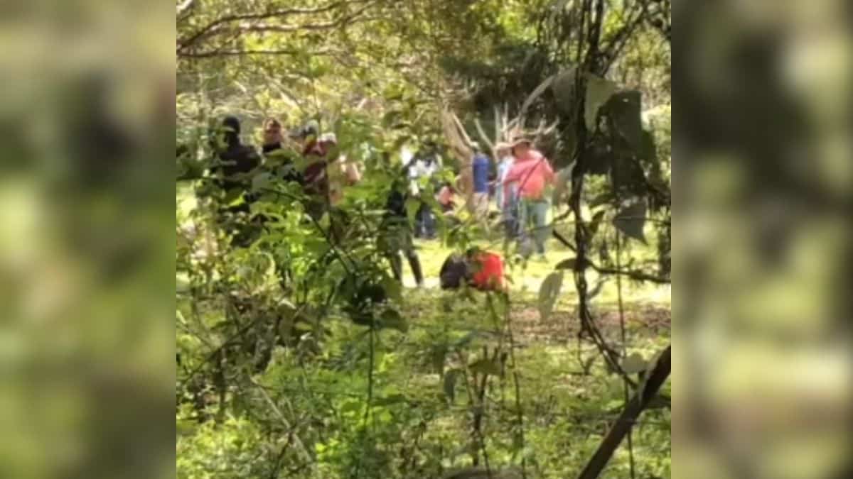 "Campesinos" invadieron predios de Fundación Paz Animal: Fueron desalojados
