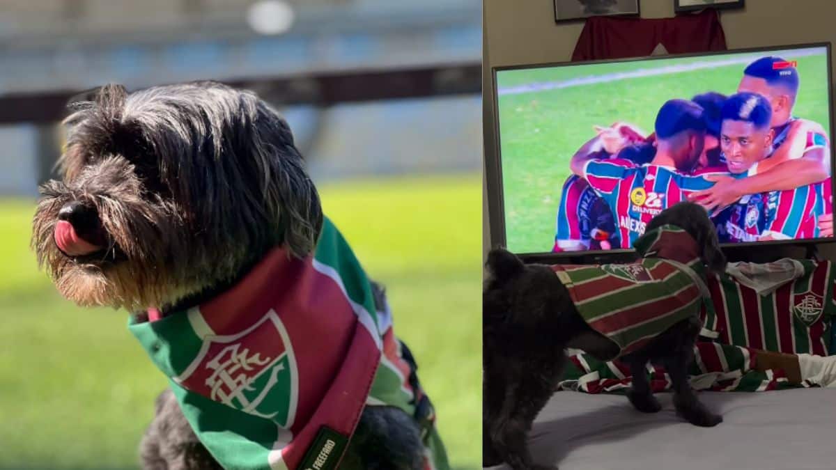 El 'glorioso' en la capital: Deportivo Cali visita a La Equidad en Bogotá