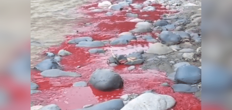 Alerta en Tuluá: Ciudadanos reportan derrame de líquido rojo en el río