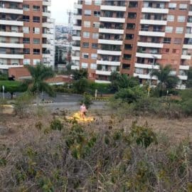 Video: Una mujer fue capturada tras iniciar un incendio en los cerros de Cali