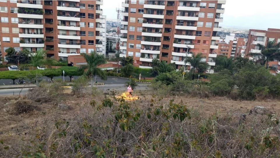 El cartel de los más buscados de Cali: Ofrecen recompensa hasta de  millones
