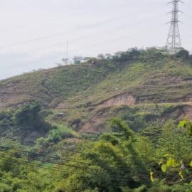 Deforestan y queman: Denuncian gran invasión de predios en zona rural de Cali