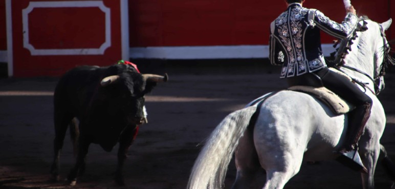 Aprobado, en segundo debate, proyecto de ley para prohibir corridas de toros