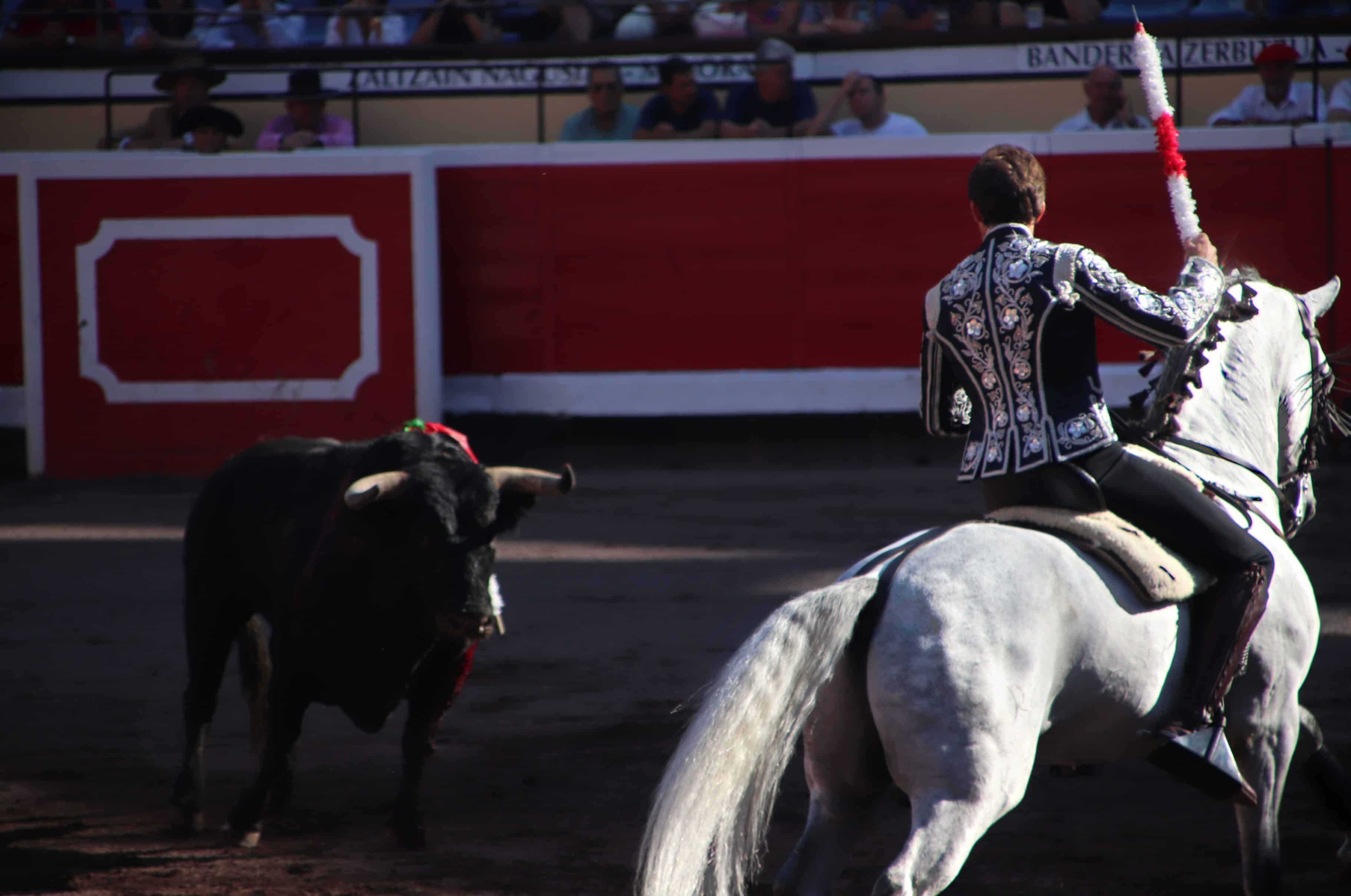 Aprobado, en segundo debate, proyecto de ley para prohibir corridas de toros