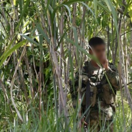 Campesinos de Calima El Darién están en riesgo por presencia de disidencias