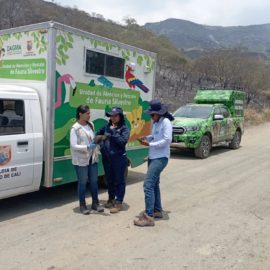 doloroso-balance-incendio-arrasa-con-la-fauna-en-las-montanas-de-cali-22-09-2023