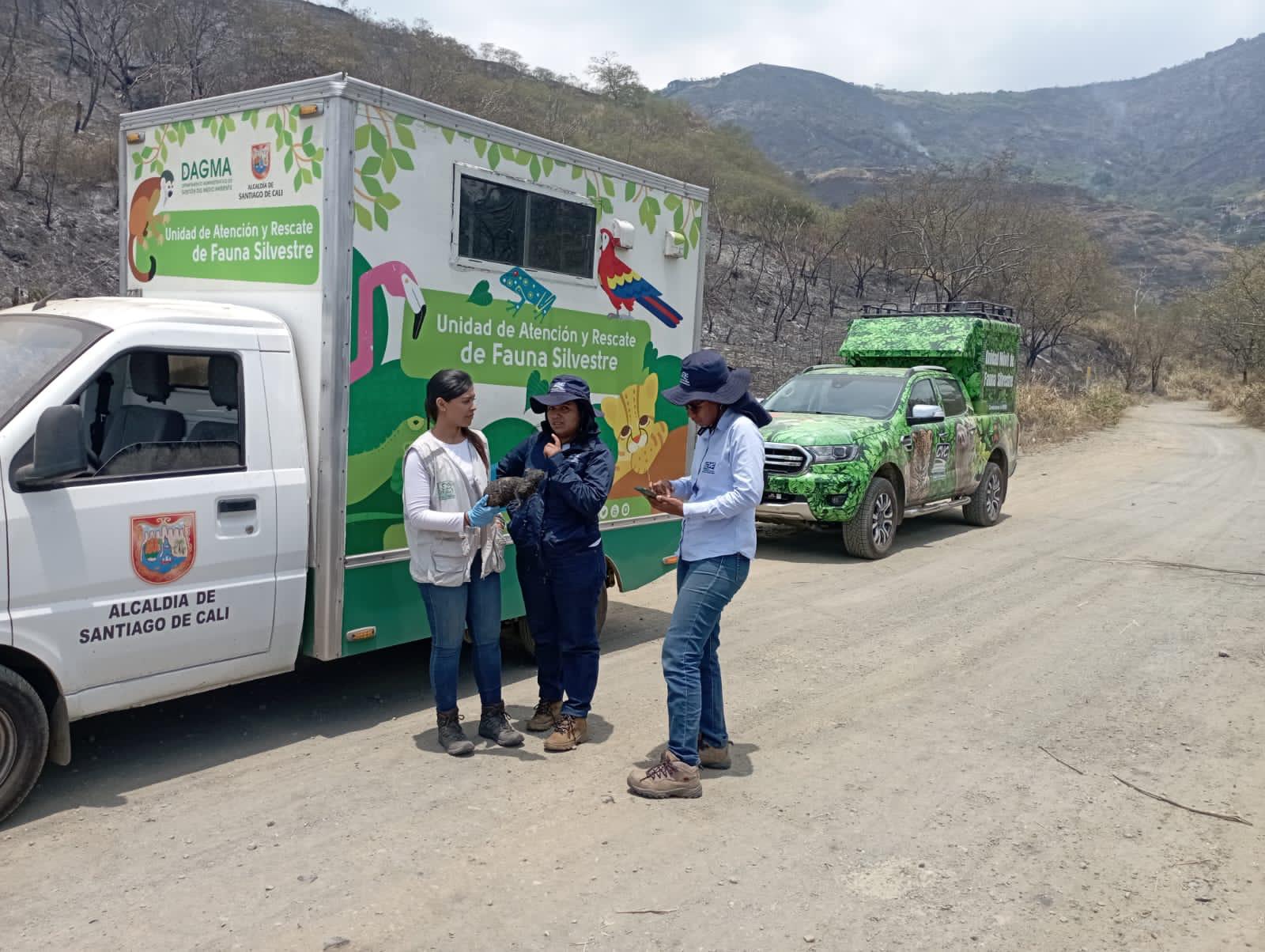 doloroso-balance-incendio-arrasa-con-la-fauna-en-las-montanas-de-cali-22-09-2023
