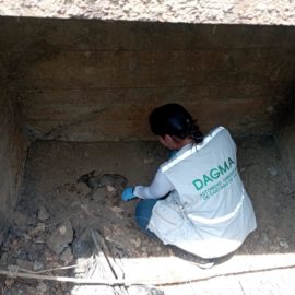doloroso-balance-incendio-arrasa-con-la-fauna-en-las-montanas-de-cali-22-09-2023