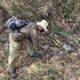 doloroso-balance-incendio-arrasa-con-la-fauna-en-las-montanas-de-cali-22-09-2023