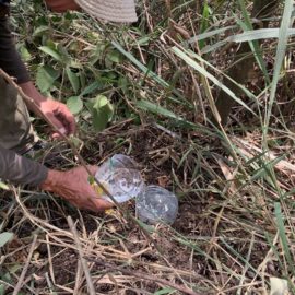 doloroso-balance-incendio-arrasa-con-la-fauna-en-las-montanas-de-cali-22-09-2023