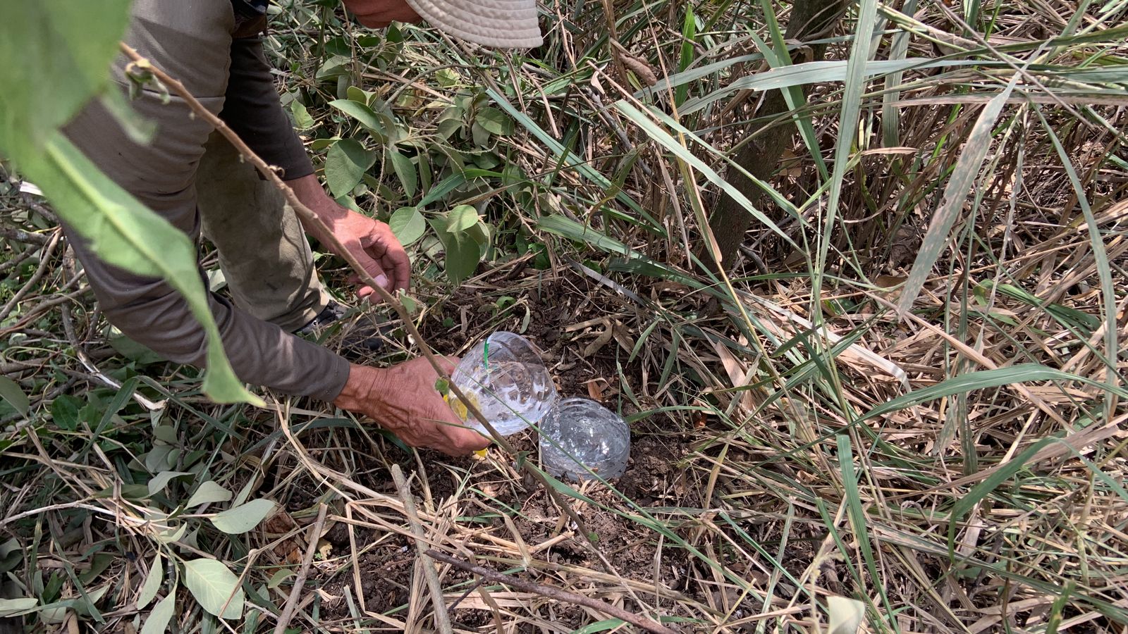 doloroso-balance-incendio-arrasa-con-la-fauna-en-las-montanas-de-cali-22-09-2023