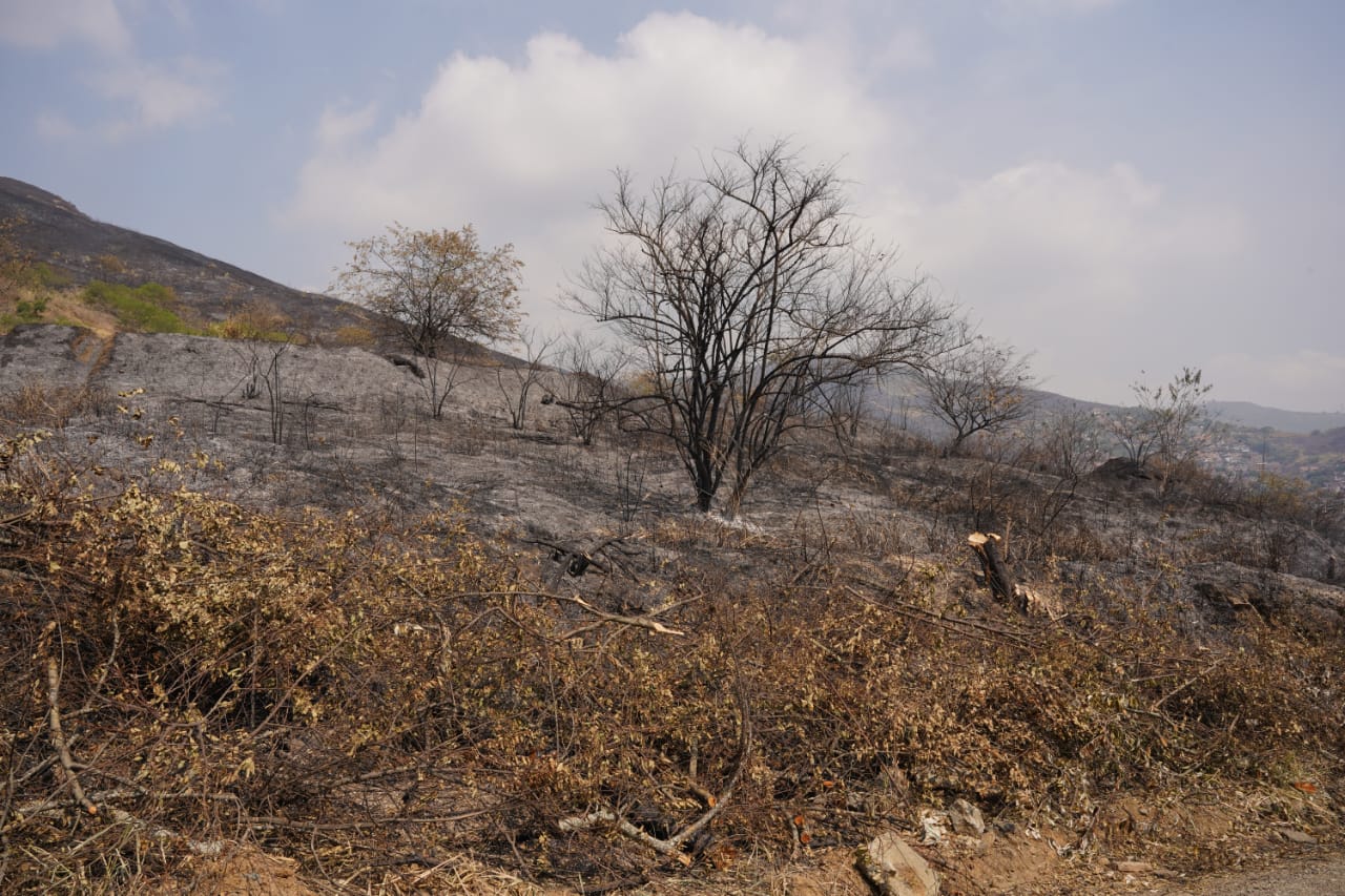 ¡Prepárese! Este próximo 4 de octubre habrá simulacro de incendios en Cali