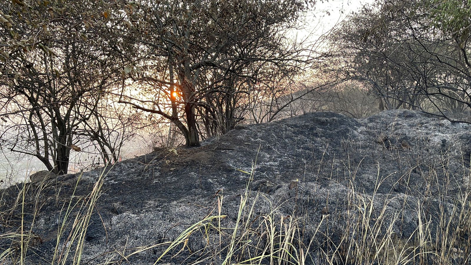 'Bambi' apoyará a los Bomberos para mitigar incendio en Altos de Menga