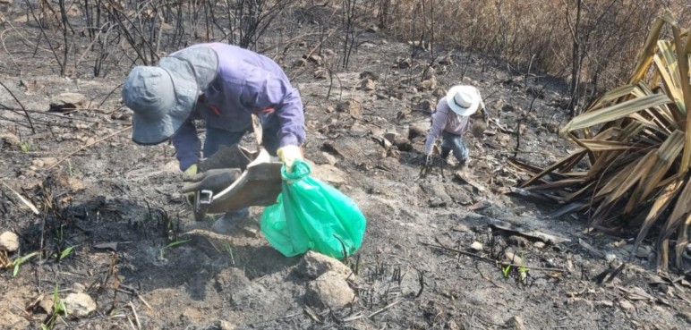 Video: Caleños se unen para recuperar cerro de Altos de Menga