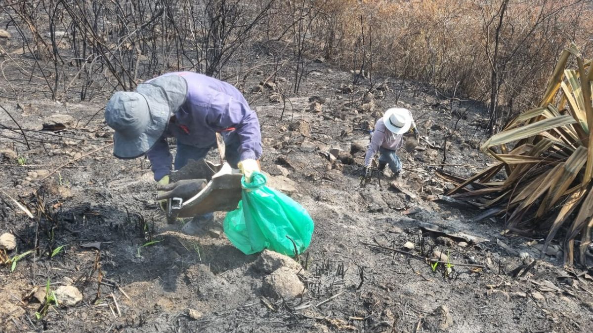 La UAO le apuesta a la preservación de las orquídeas
