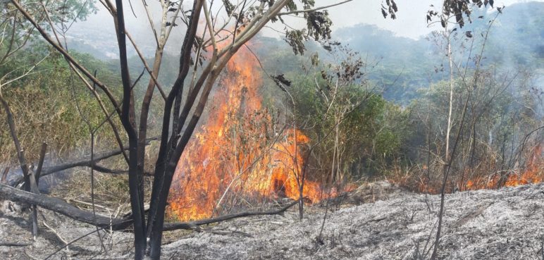 ¡Prepárese! Este próximo 4 de octubre habrá simulacro de incendios en Cali