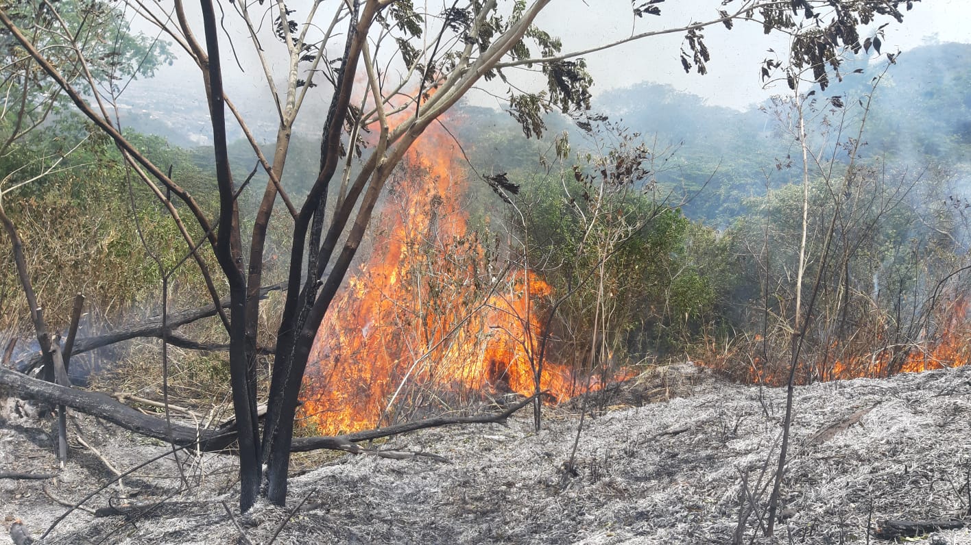 Video: Nuevamente invadieron el cerro de La Antena tras incendio forestal
