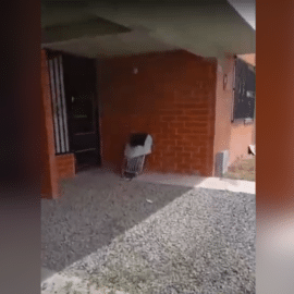 Millonaria recompensa por información sobre el asesinato de mujer en Palmira