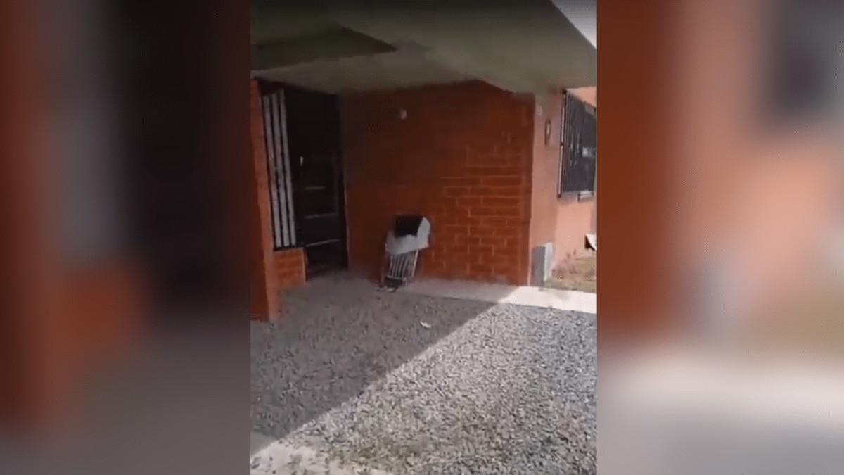 Video: Masiva caravana de motos causó desorden y temor en las calles de Cali