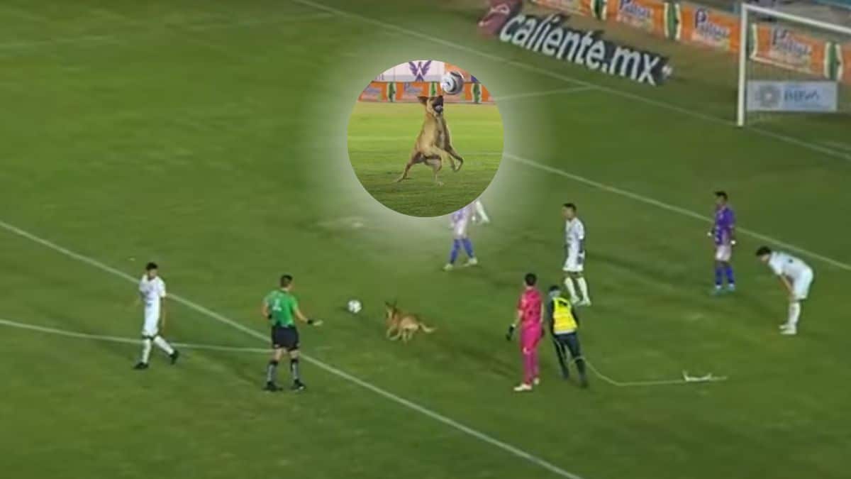 "Sufrí la presión": Edwin Cardona y su compleja etapa en Racing de Argentina